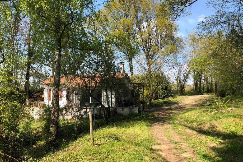 La Petite Maison au bord de l’étang Chirac  Esterno foto